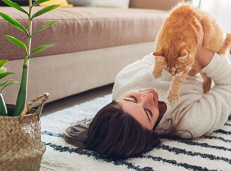 Banken met deze stof zijn geschikt voor katten