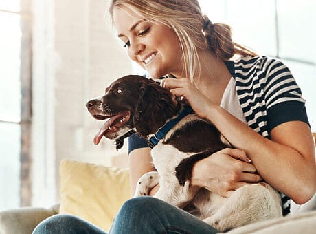 Jouw bank is niet voor de hond. Bescherm je meubel.